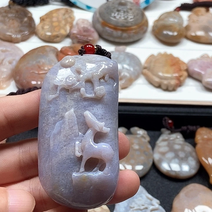 硅化珊瑚（珊瑚玉）未镶嵌颈饰