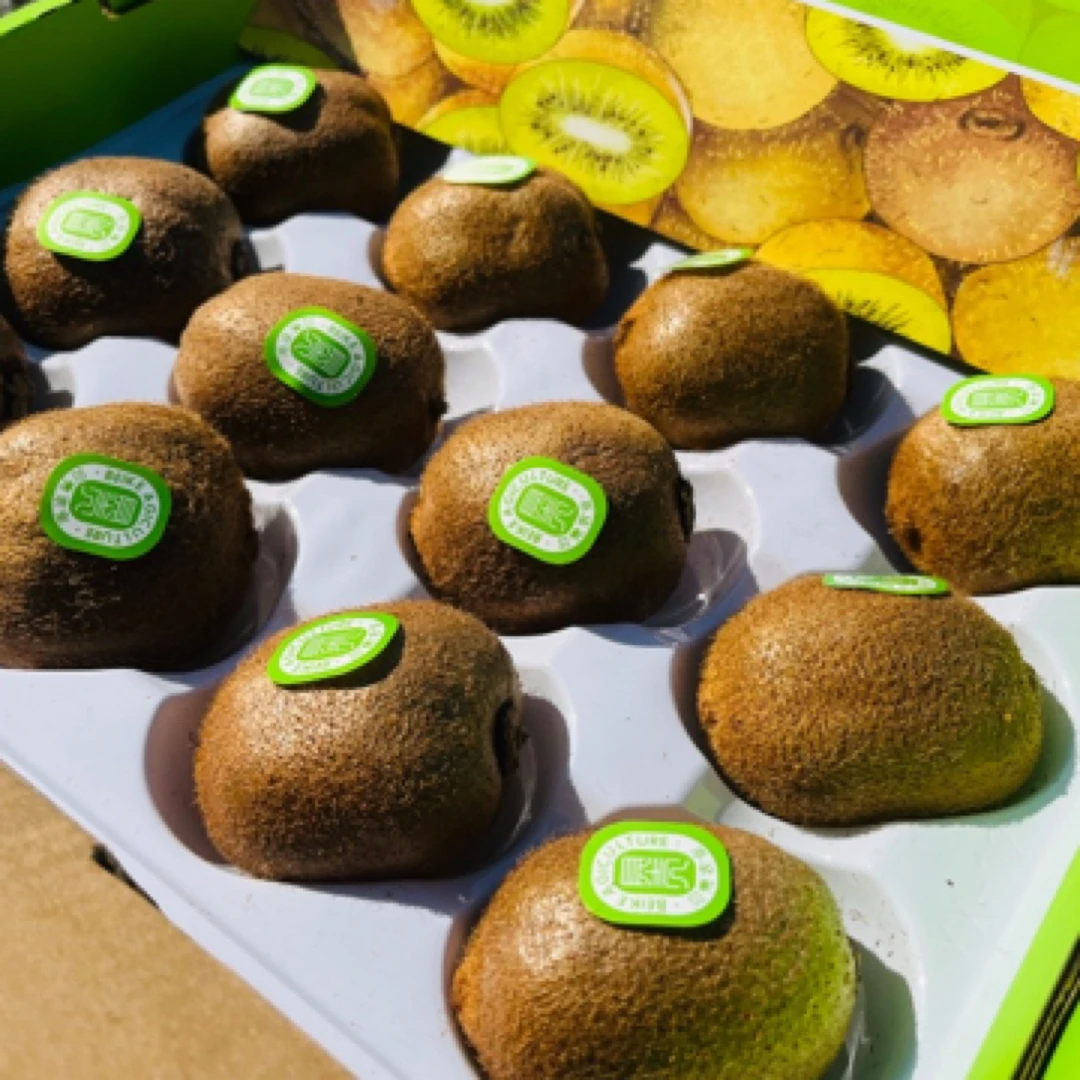 贝壳原生小猕徐香猕猴桃12枚2.5斤毛重