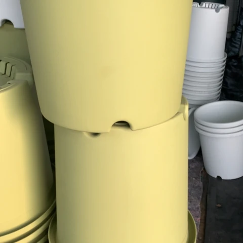 树脂7加果绿无托微瑕3个