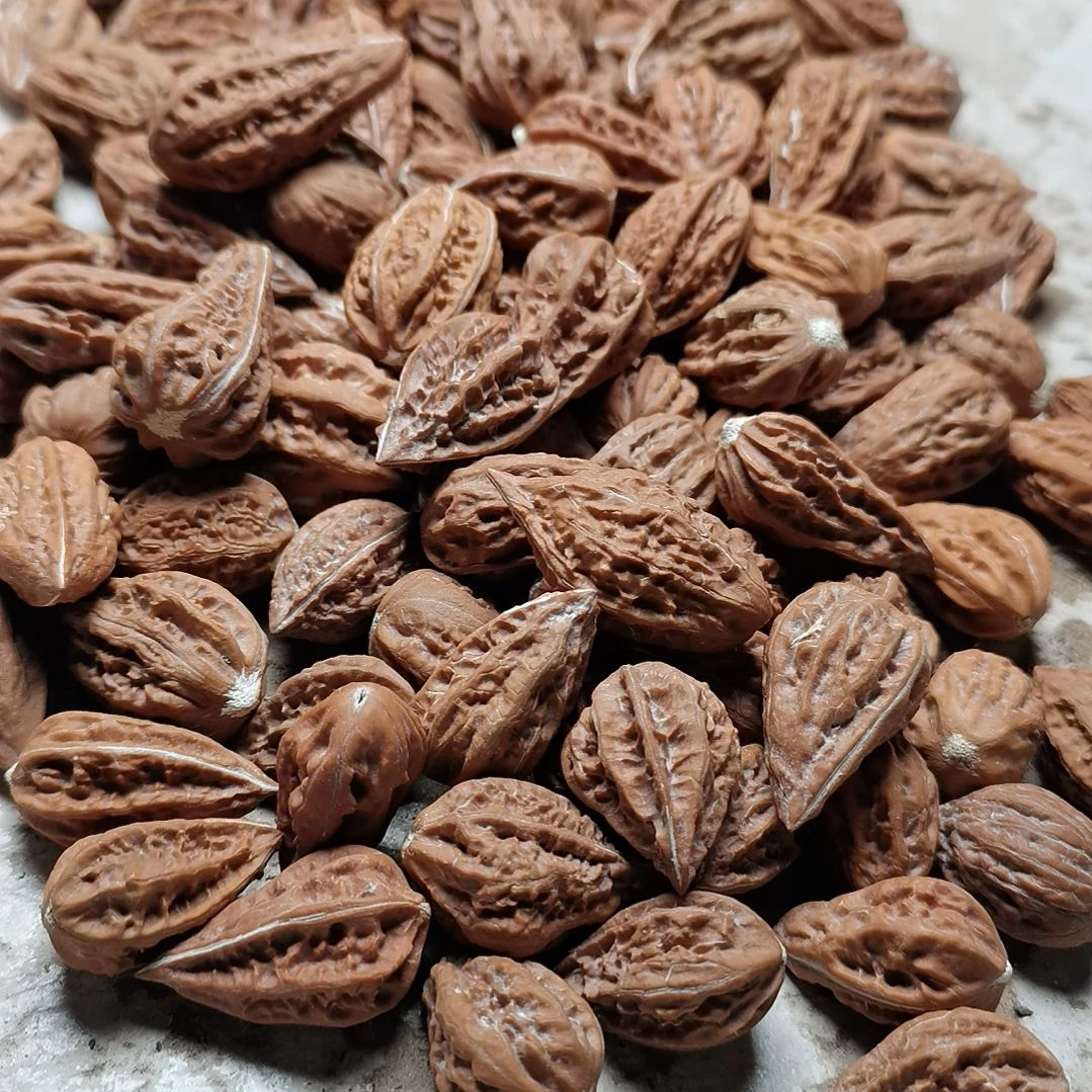 文玩核桃手串冬*东北秋子异型核桃143颗21