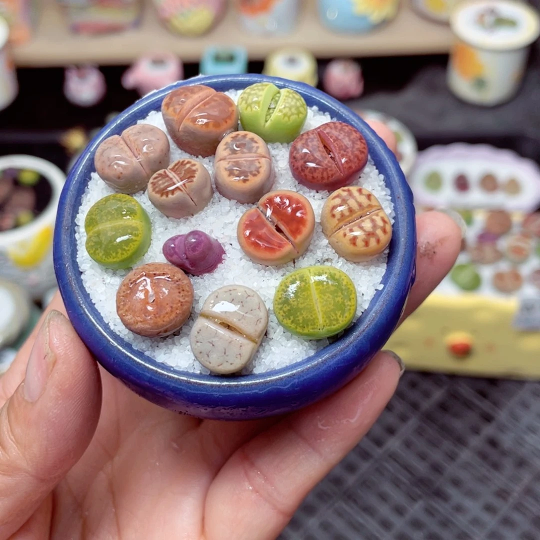 w1674 带盆土发货-零下地区拍保温箱