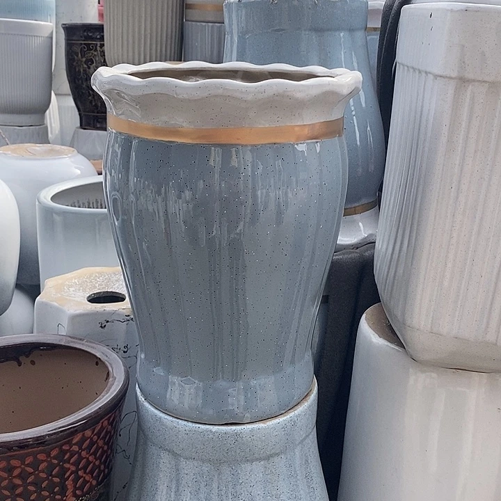 花口蓝南瓜中口25高32福利