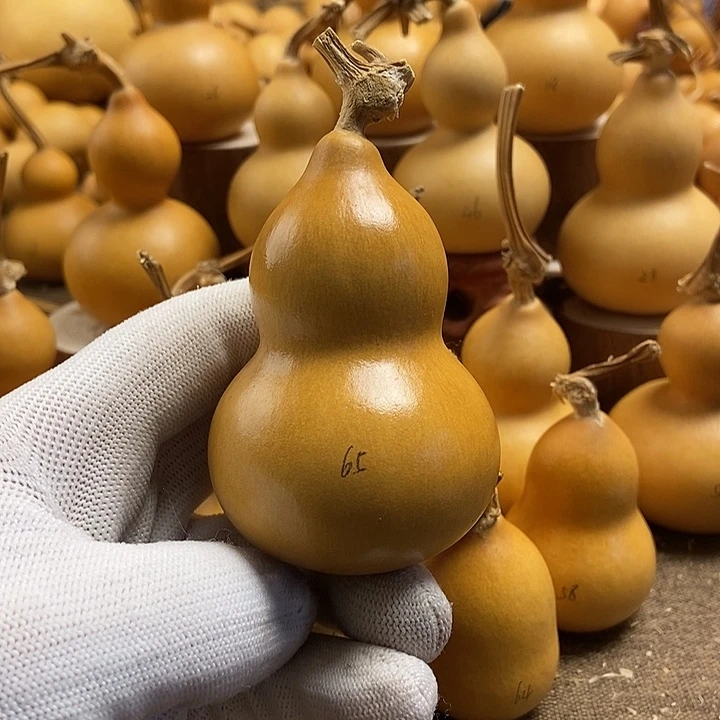 文玩葫芦 完美主义者 慎拍65