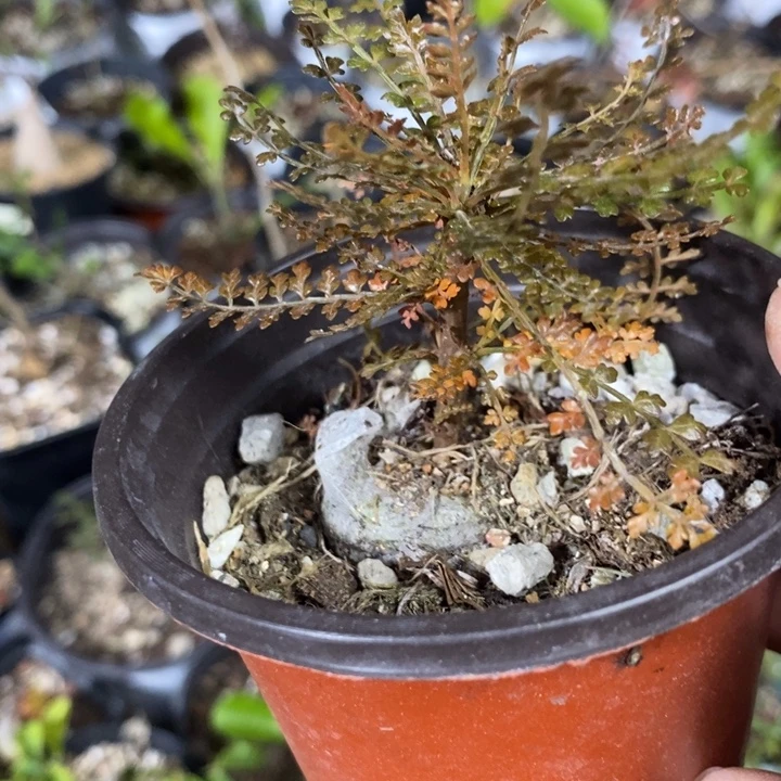 刚***好索了我一天一次都不知道