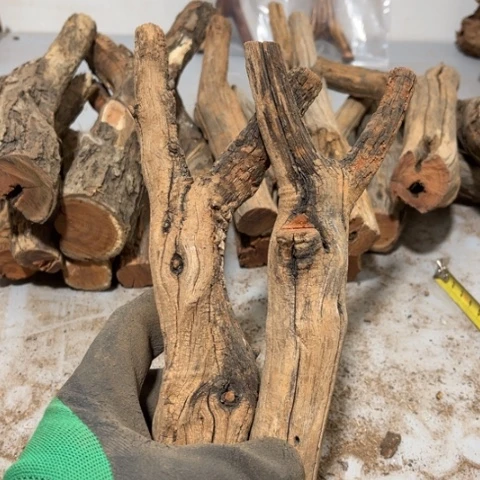 大果紫檀（缅甸花梨）弓**就