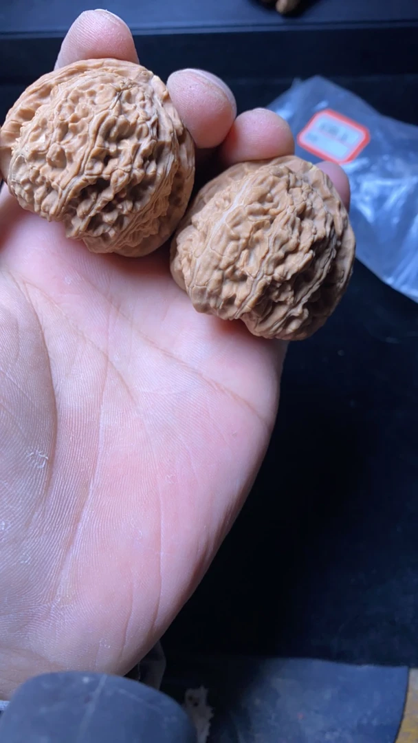 44尺白狮子全品无修