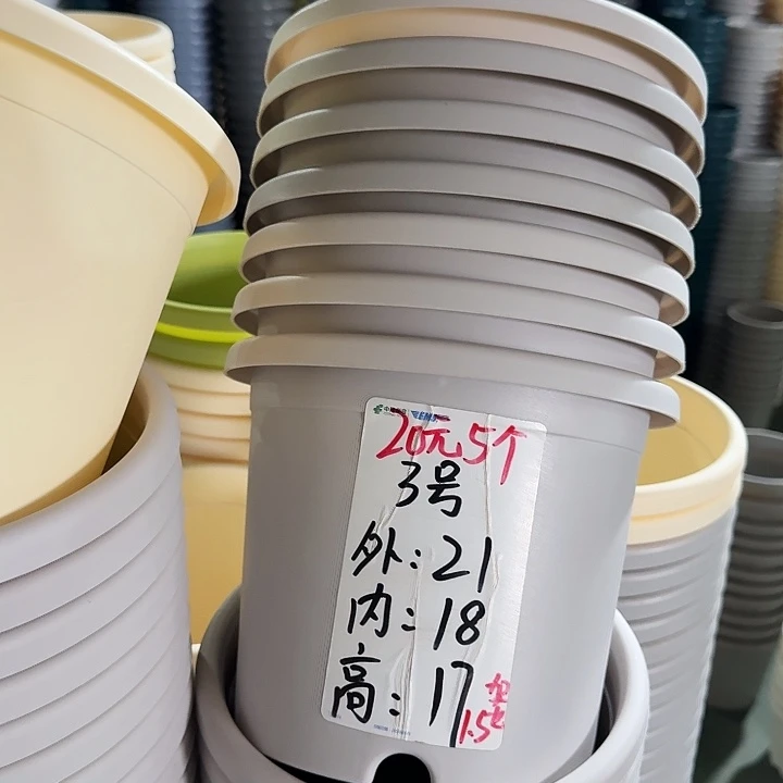微瑕3#灰白10个带托