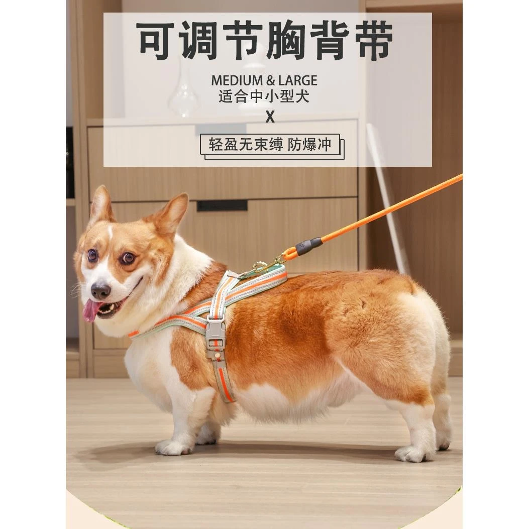 狗狗牵引绳背心式防爆冲遛狗绳可调节宠物狗胸背带柯基狗绳子夏季
