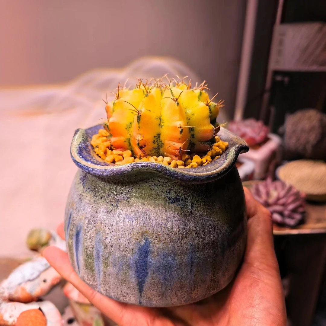 泥泥新款小窑烧精品中号个性创意复古细闪控型控养多肉植物花盆