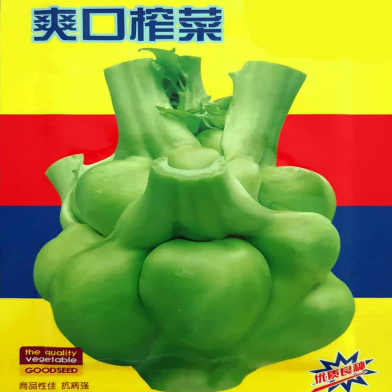 榨菜种子特大光头菜咸菜芥菜种四季蔬菜种籽芥菜种四季蔬菜抗病