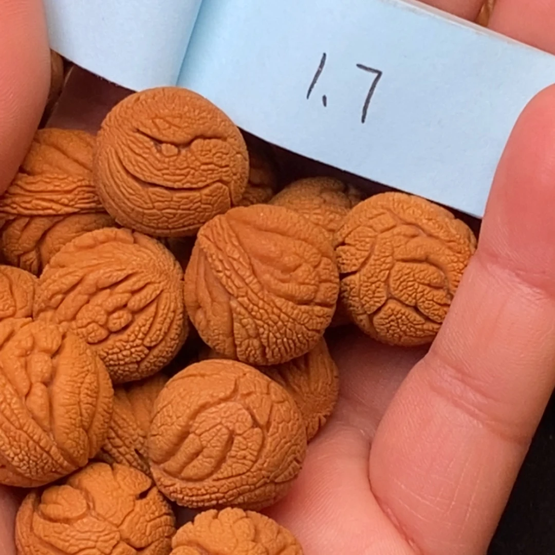 秦岭龙纹桃核15颗