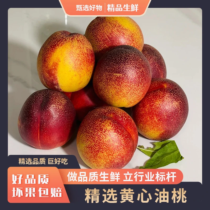 云南油桃高原产地直发酸甜多汁正宗黄心水果露天种植坏果包赔