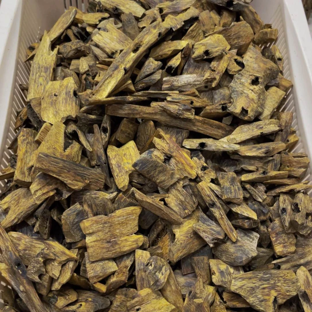 摆件沉香会**猪海南乌身圆叶块料1400克