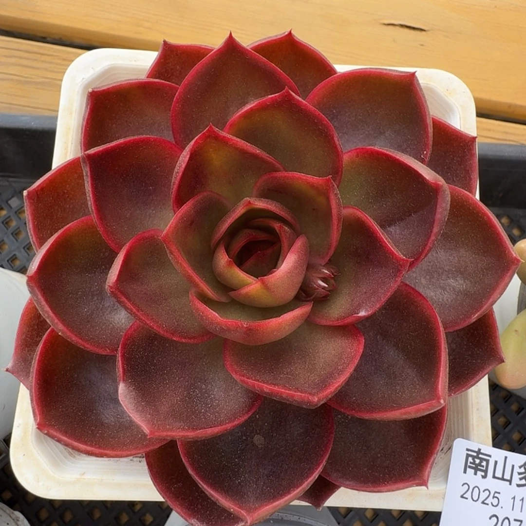 日光灯1111127-207