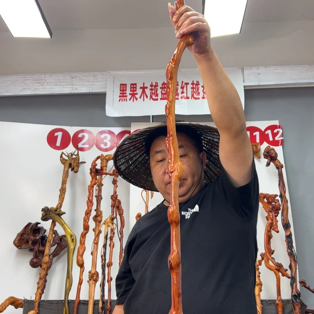 木***缘黑果木其他黑果木980