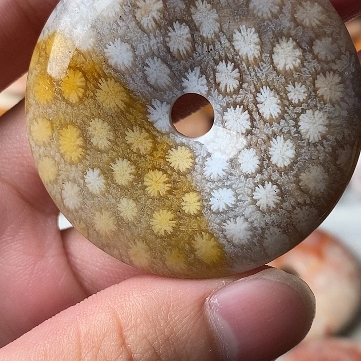 夜***莺硅化玉未镶嵌颈饰