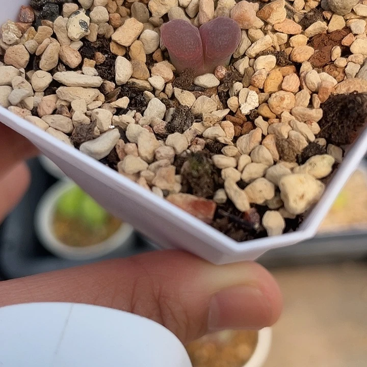 C买10尺寸比较小。窗特翻