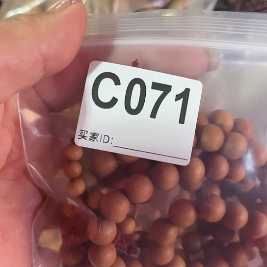 大果紫檀（缅甸花梨）071