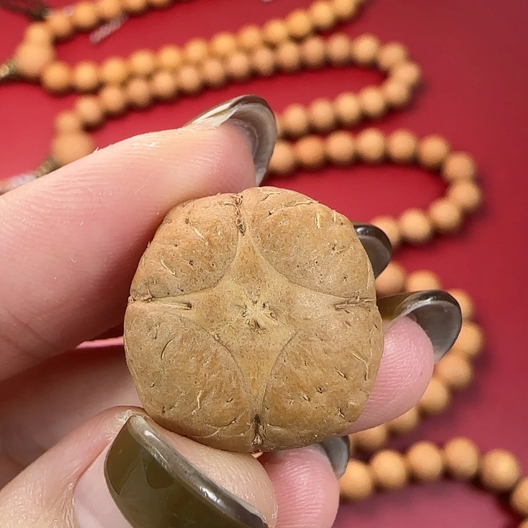 凤眼菩提手串25年新籽麒麟眼单颗