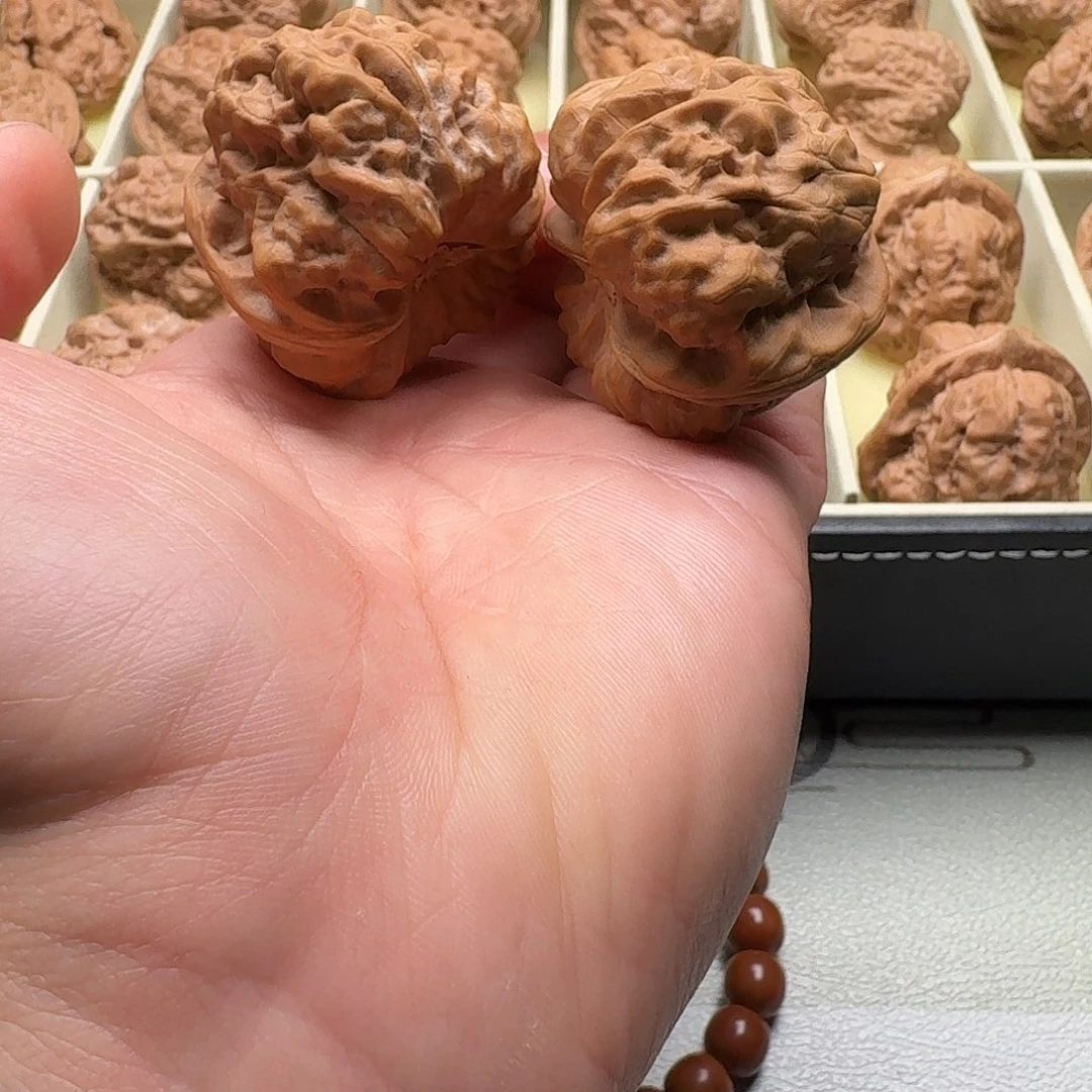 ****大叶紫檀（黑酸枝木类）