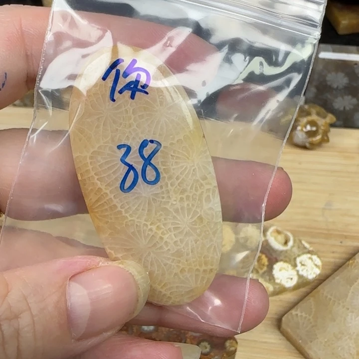 你***～硅化玉未镶嵌颈饰38
