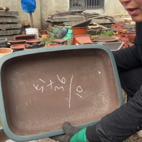 紫砂花盆紫砂花盆盆景盆栽