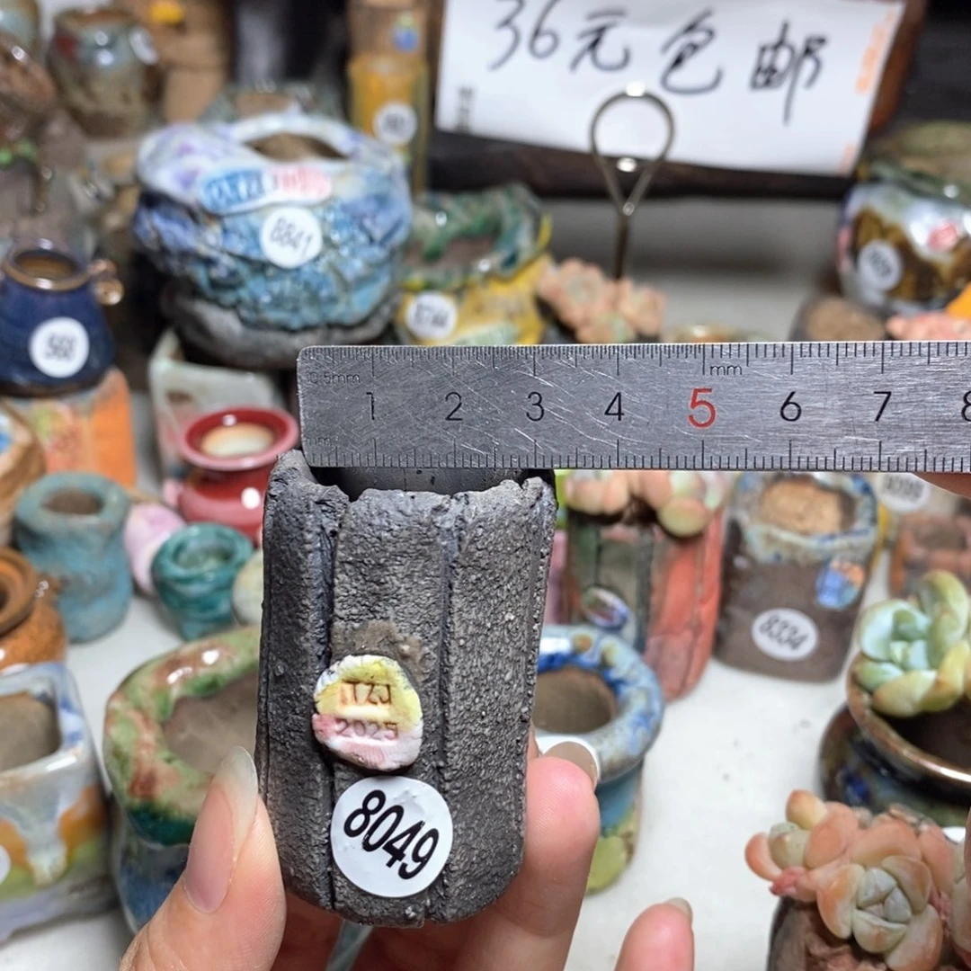 拍3送一个小礼物