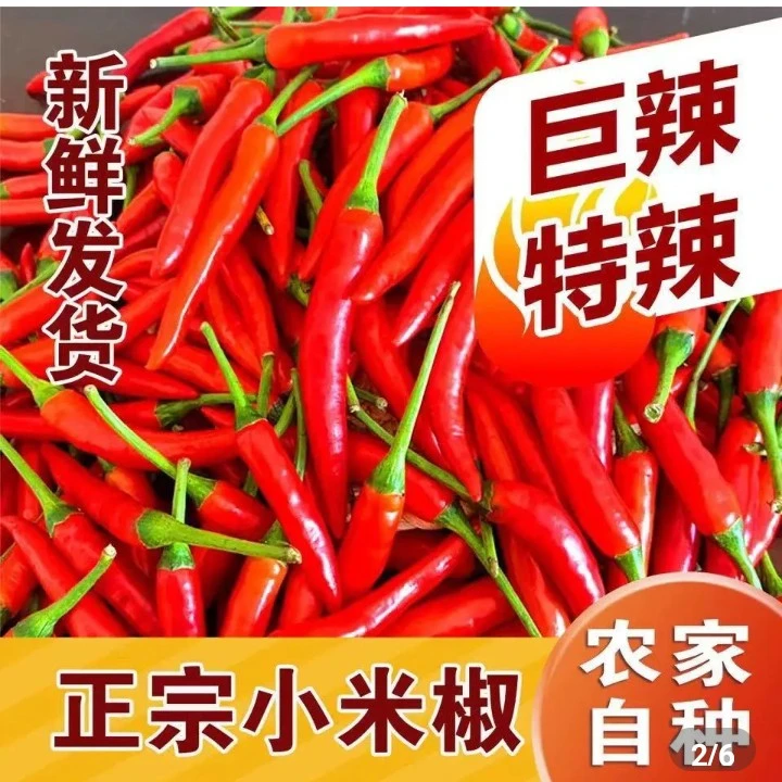 新鲜现摘特辣小米辣朝天椒