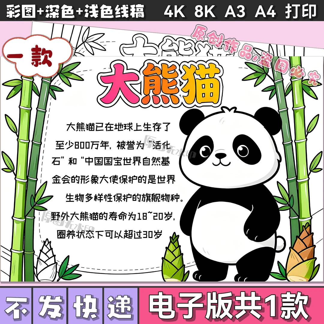 国宝大熊猫手抄报绘画模板电子版国家保护动物生物多样性线稿3018