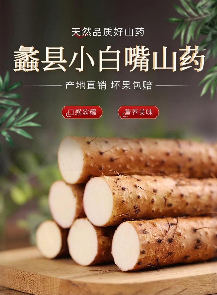 蠡县小白嘴山药河北保定铁棍山药新鲜营养健康原产地直发