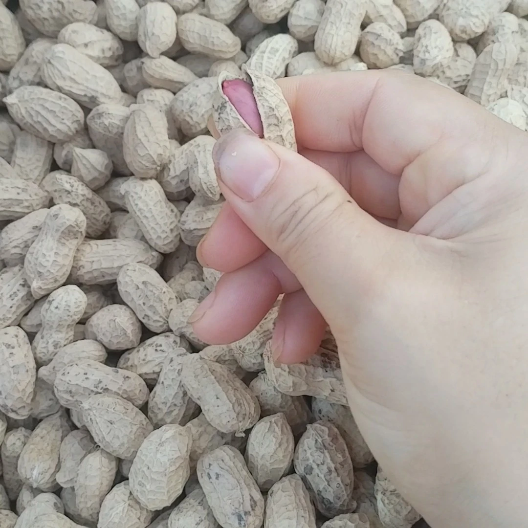 江西农村花生油10斤