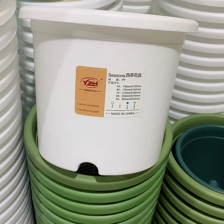 四季口17白5个带托