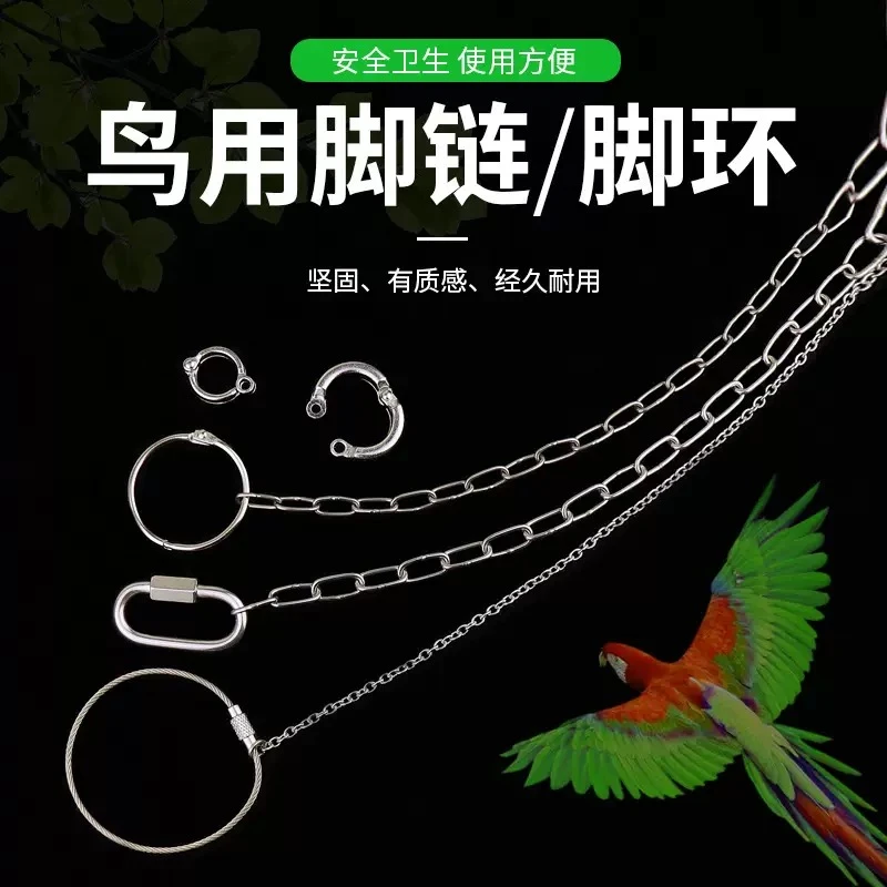 不锈钢鹦鹉脚链虎皮牡丹玄凤八哥鹩哥鸟站架开口脚环用品用具拴鸟