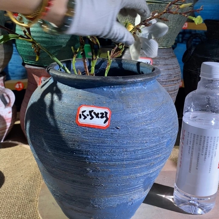 【闪购商品】正品现货