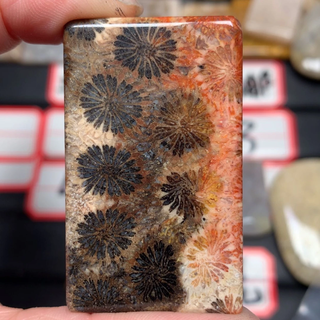 【闪购商品】未镶嵌颈饰硅化玉良**院