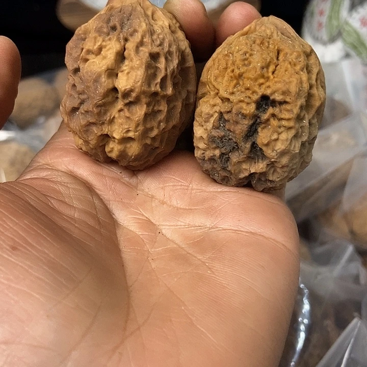 文玩核桃把件云南铁核桃基地42