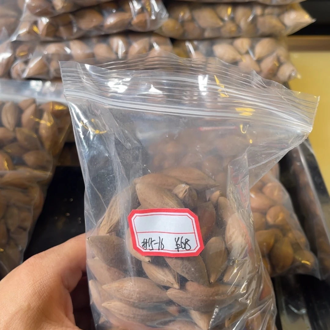 吊坠龙脊菩提中*