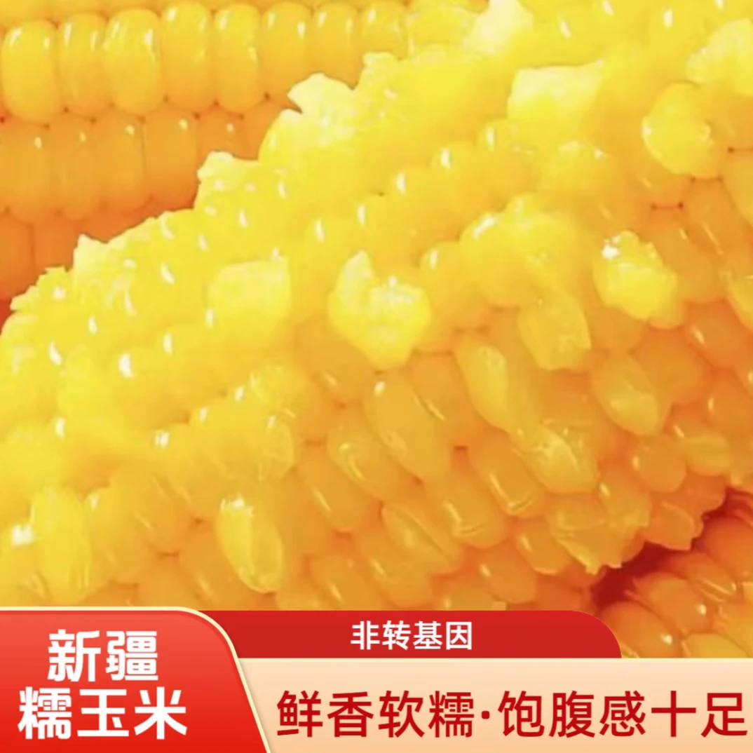 新疆伊犁察县玉米黄糯鲜食营养代餐粗粮8棒/盒产地直发真空包装