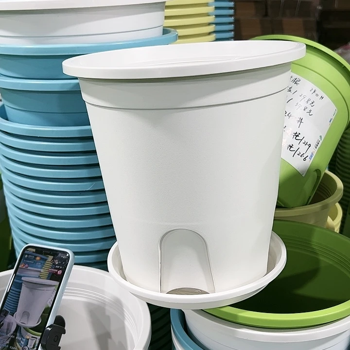 正品圆控口24高24白色5只带托