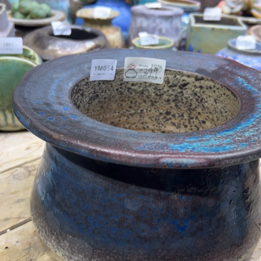 凌***半1987花盆ym34精品打包（加一颗桃霜已配）