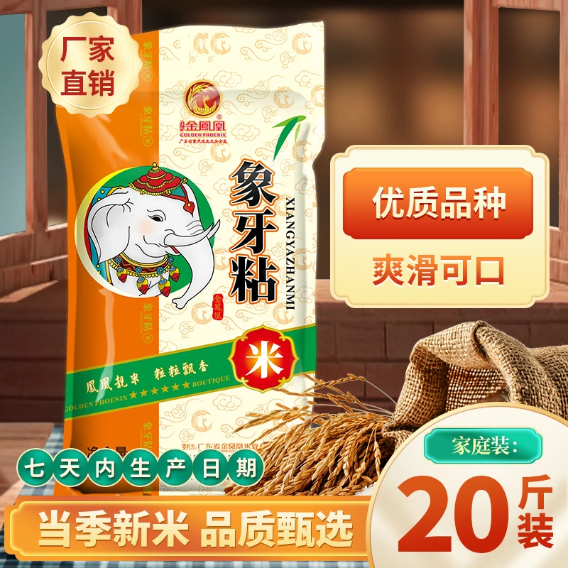 金凤凰玉竹象牙粘米10kg南方软香长粒香米新鲜大米软糯家庭餐饮