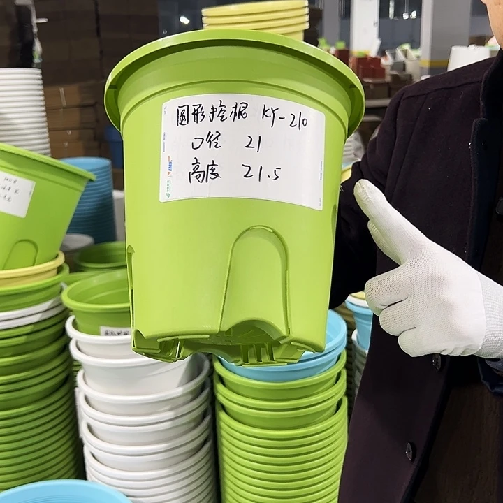 正品圆控口21高21果绿8只无托