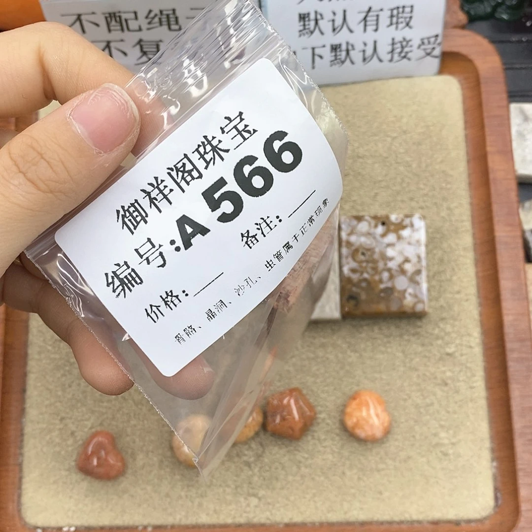 硅化珊瑚（珊瑚玉）颈饰未镶嵌不*钢