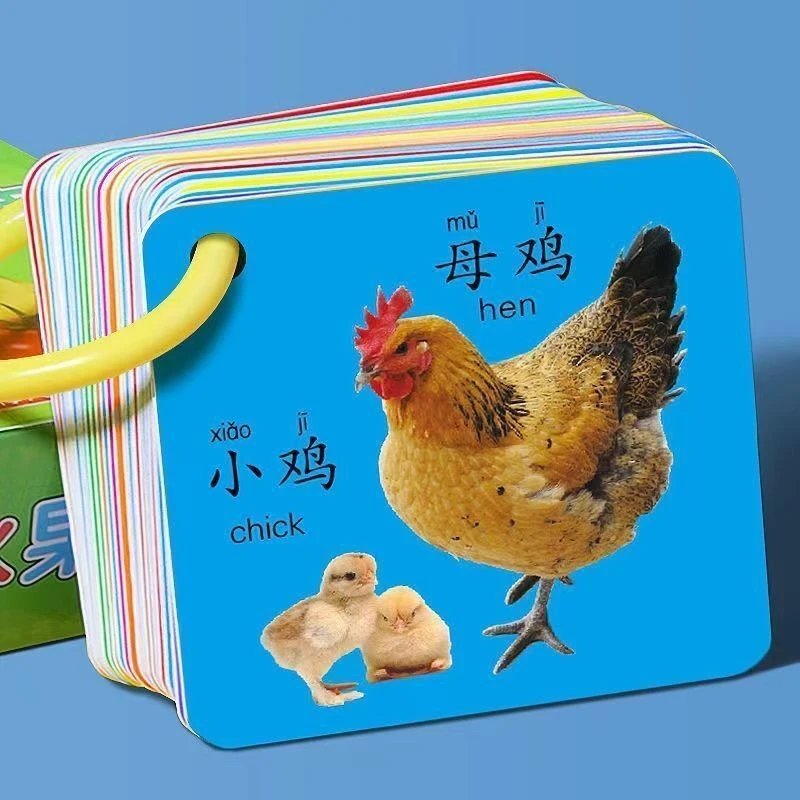 看图识字卡片认知早教启蒙书儿童宝宝益智玩具婴儿幼识字看图识物