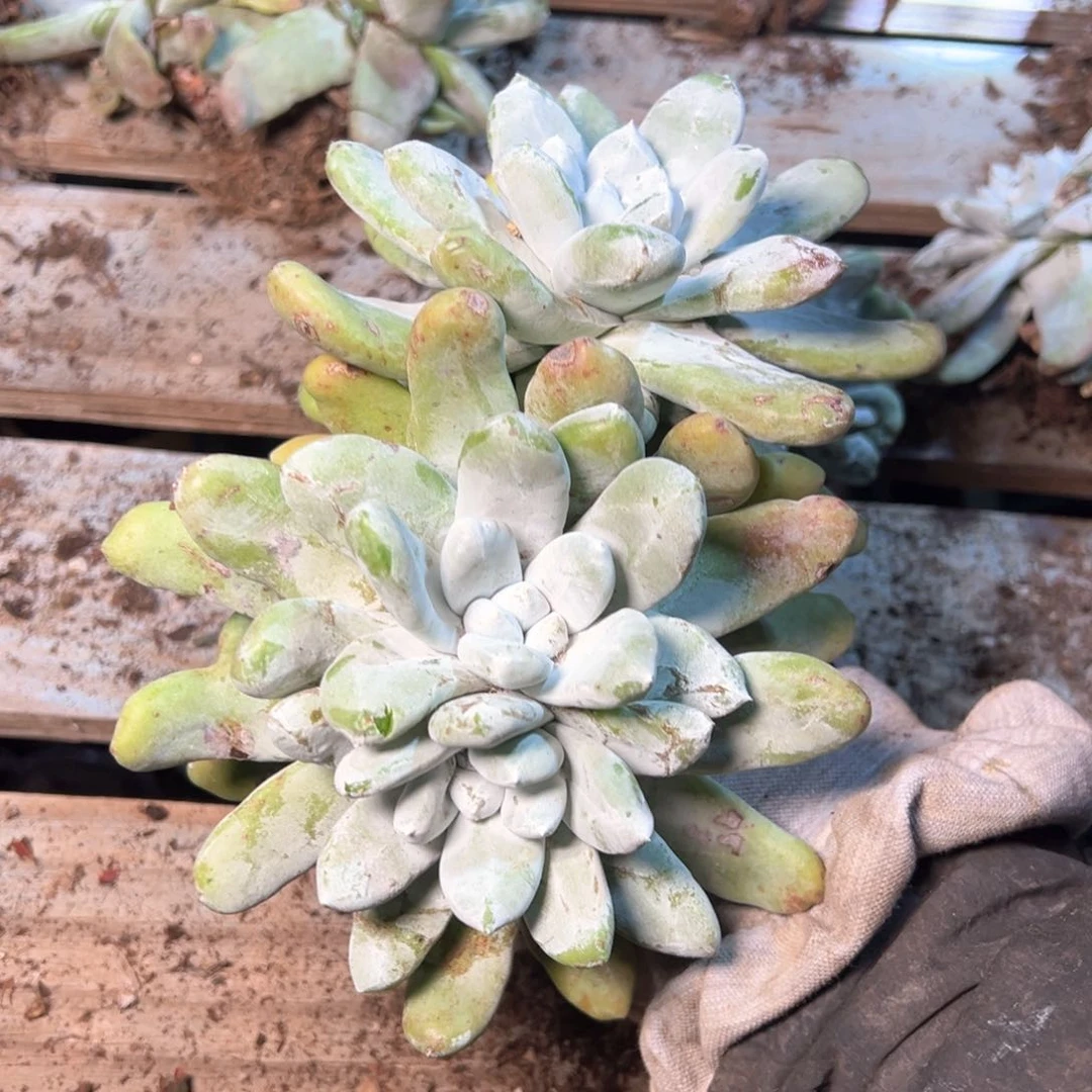 7398哈哈哈哈哈哈哈哈