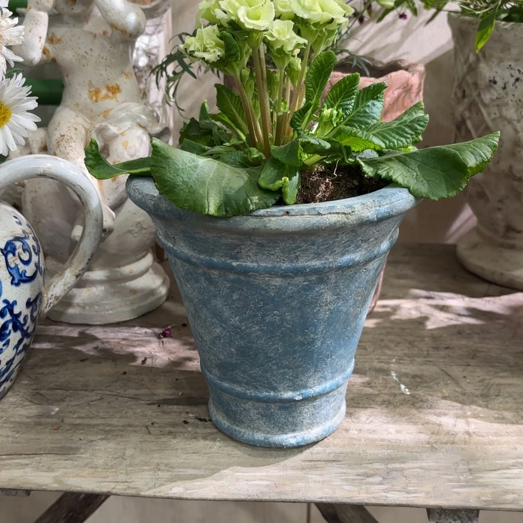 许纯的花房 蓝色简约款