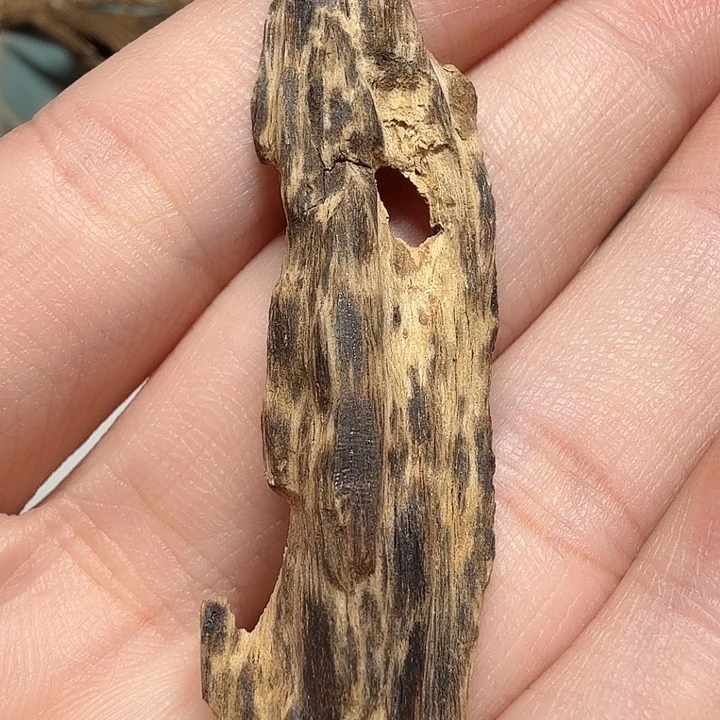 香港老香沉水树心油2.36克