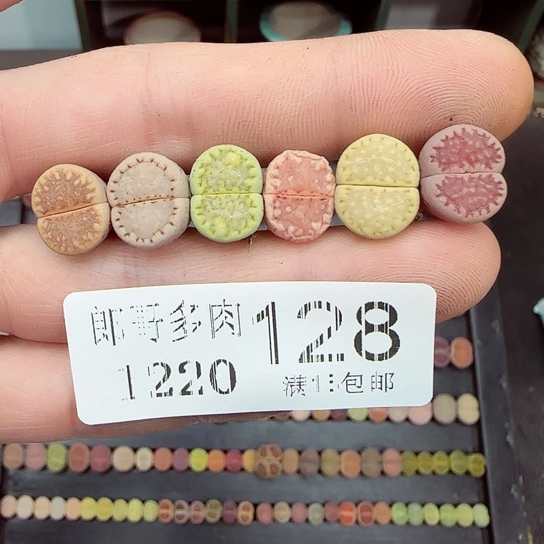 满满18包邮1220-128