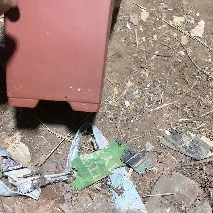 紫砂没有那么好吃就行