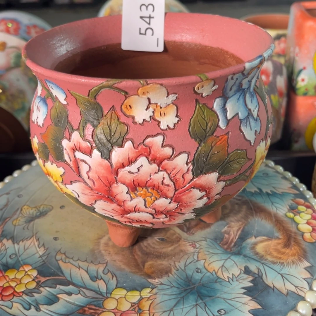 丽***肉543多肉花盆   1个